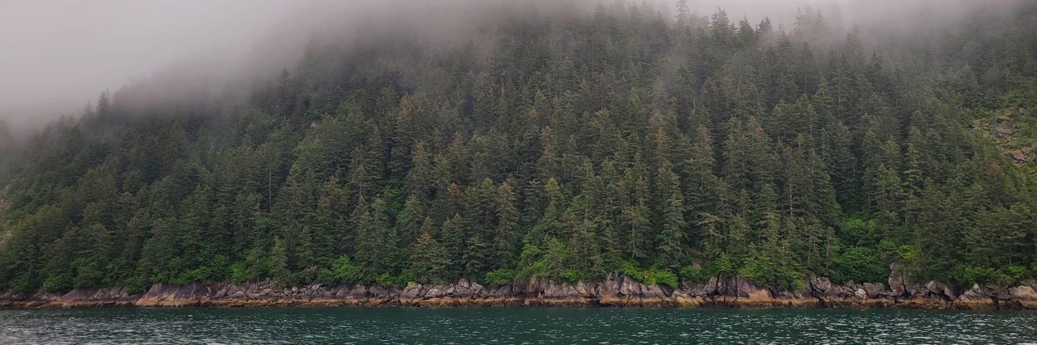 Becca Payne (she/her) 🇵🇸 💖💜💙 banner