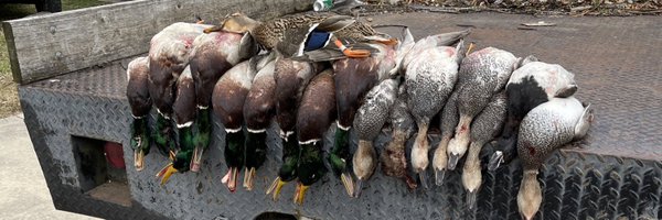 kane_barrow34 Profile Banner