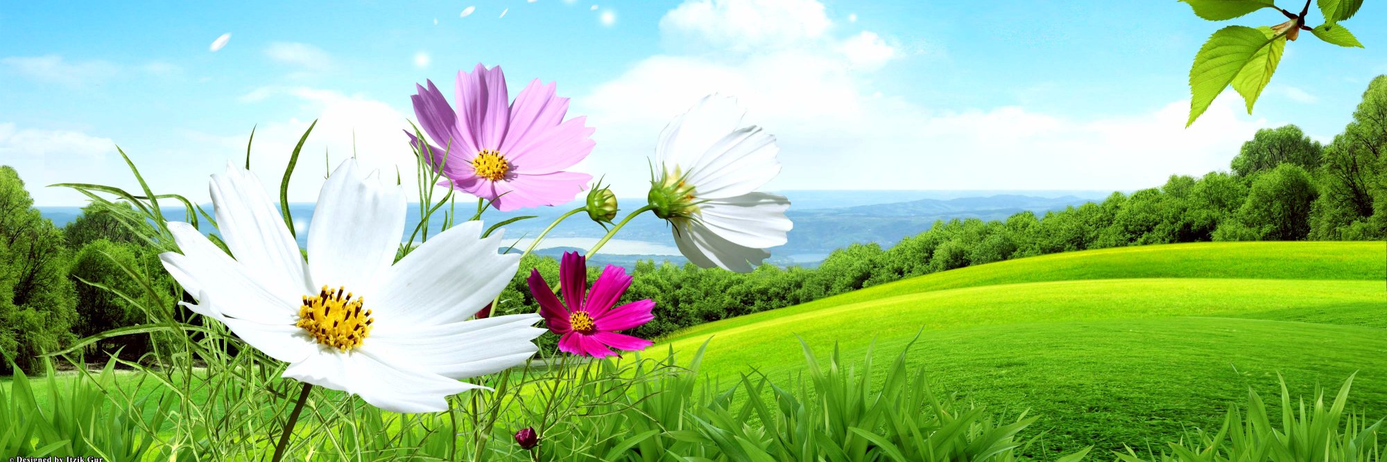 TeaTimeTravels's profile banner image