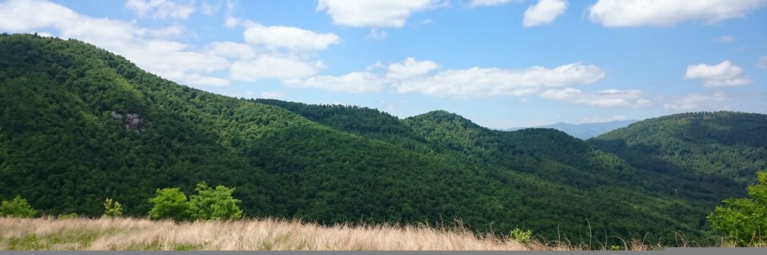 widdleknees's profile banner image