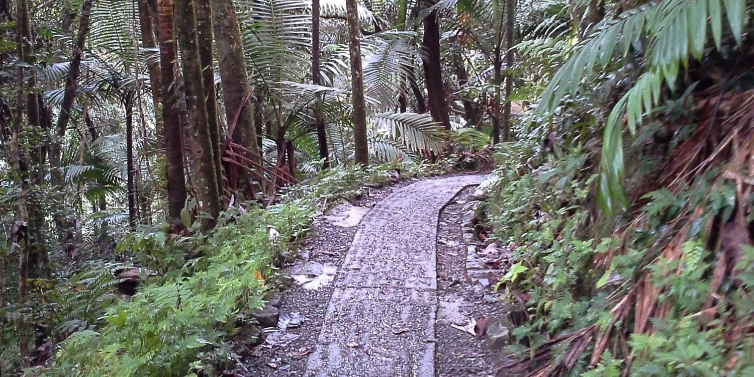 Evelyn Hidalgo banner