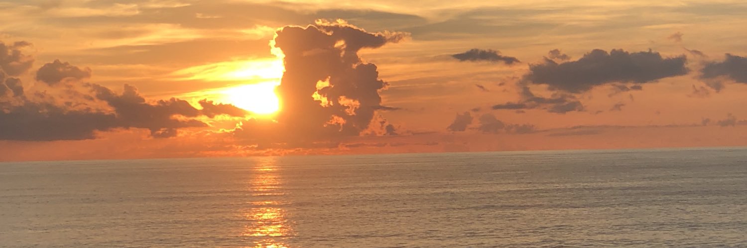 snicolee77's profile banner image