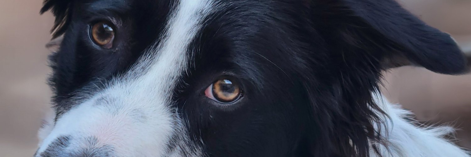 JerryHaddox's profile banner image