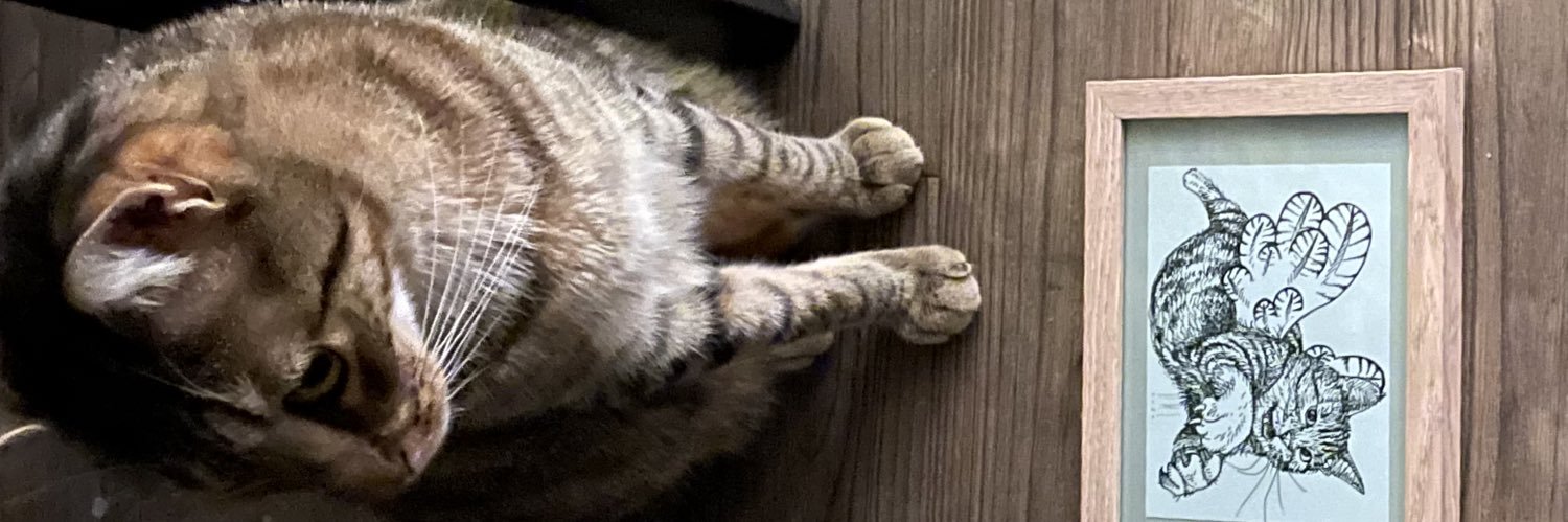 SusannahGriffee's profile banner image