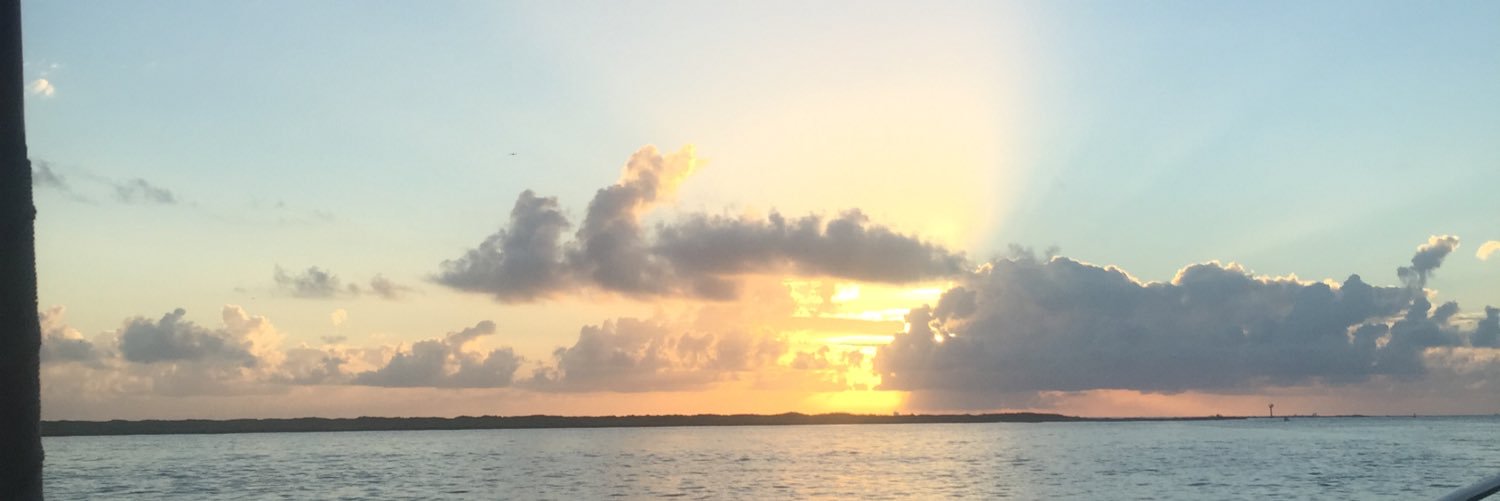 Little_bird1988's profile banner image