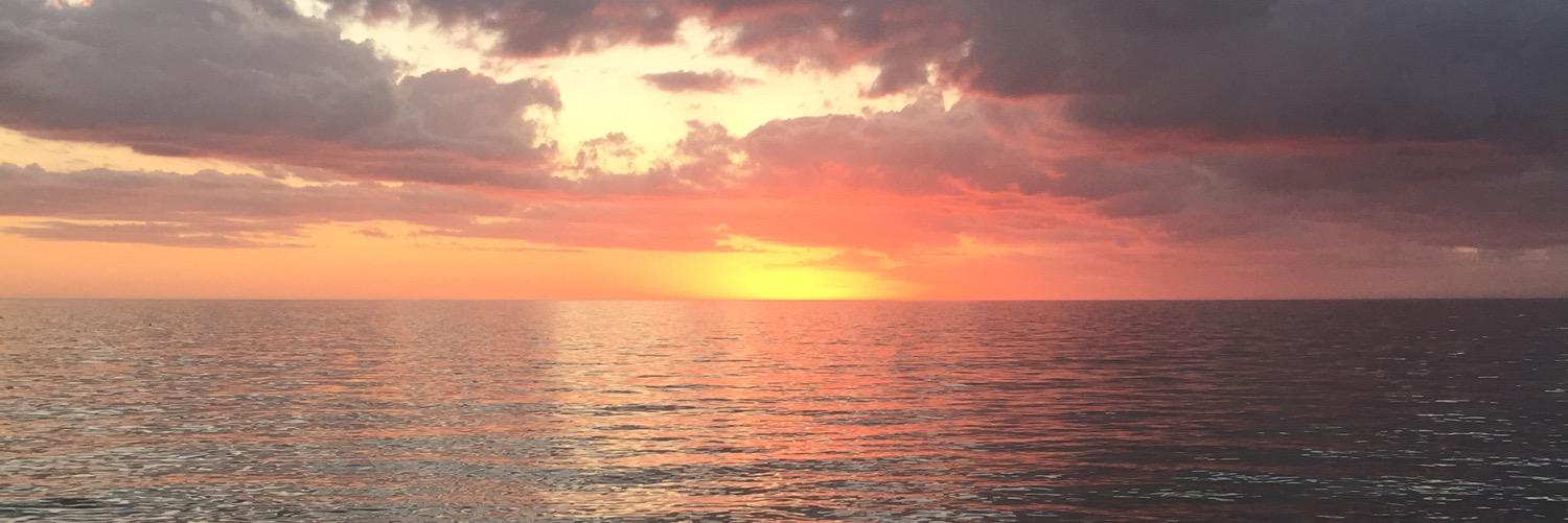 lhern23's profile banner image