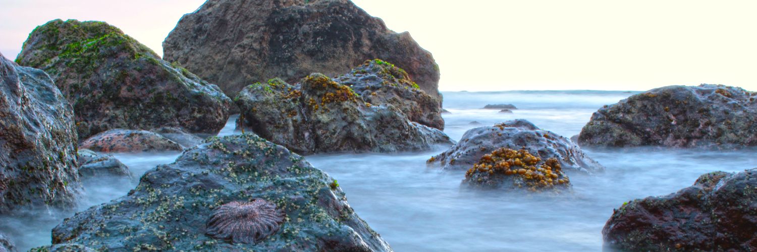 Nortedechile's profile banner image