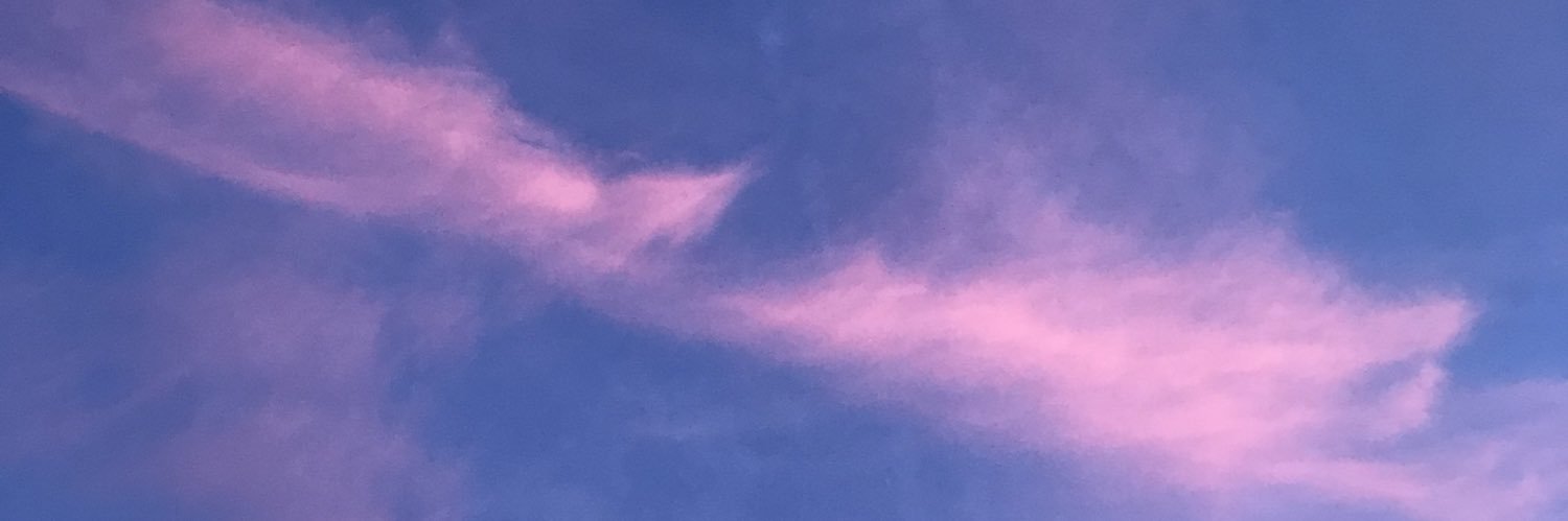 garbitch808's profile banner image
