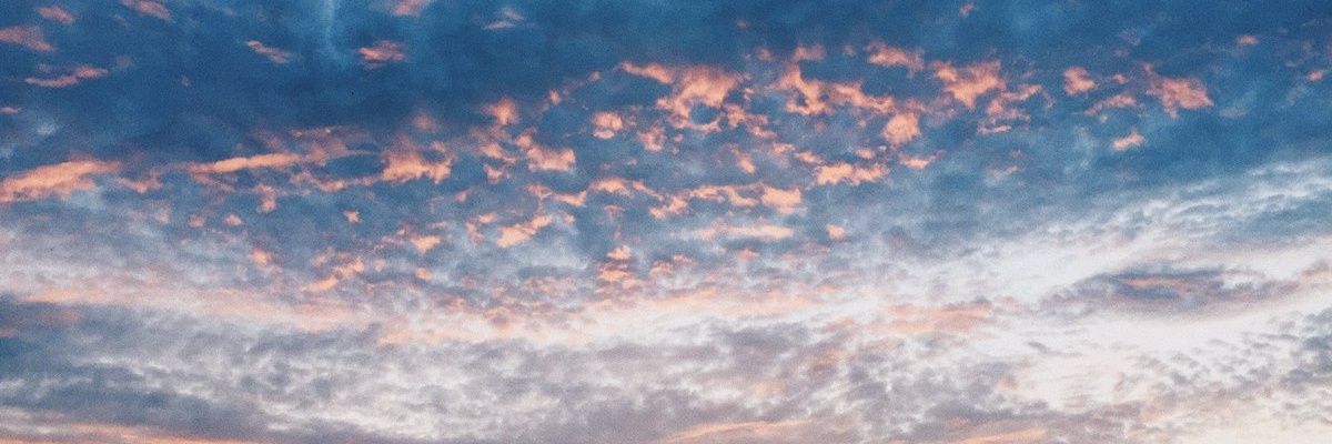 Zuu_Max's profile banner image