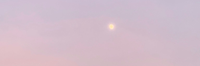 bluemoondusts's profile banner image