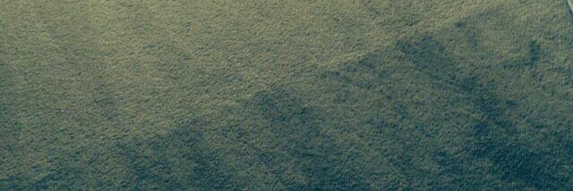 CarpetGbs's profile banner image