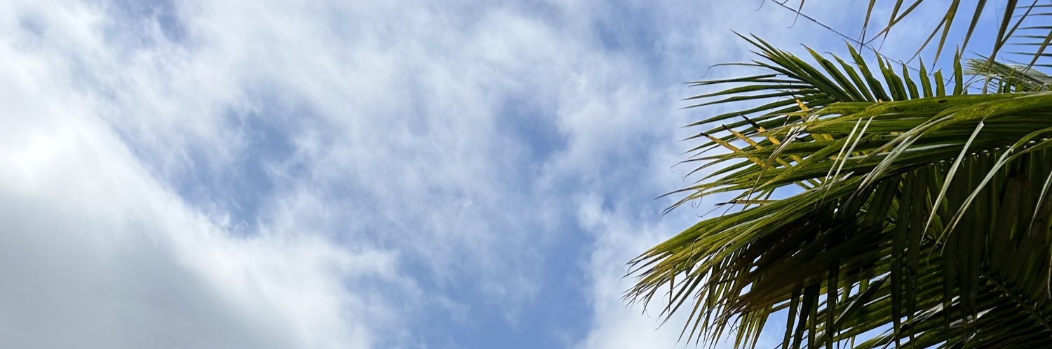 DaniiloMCE's profile banner image