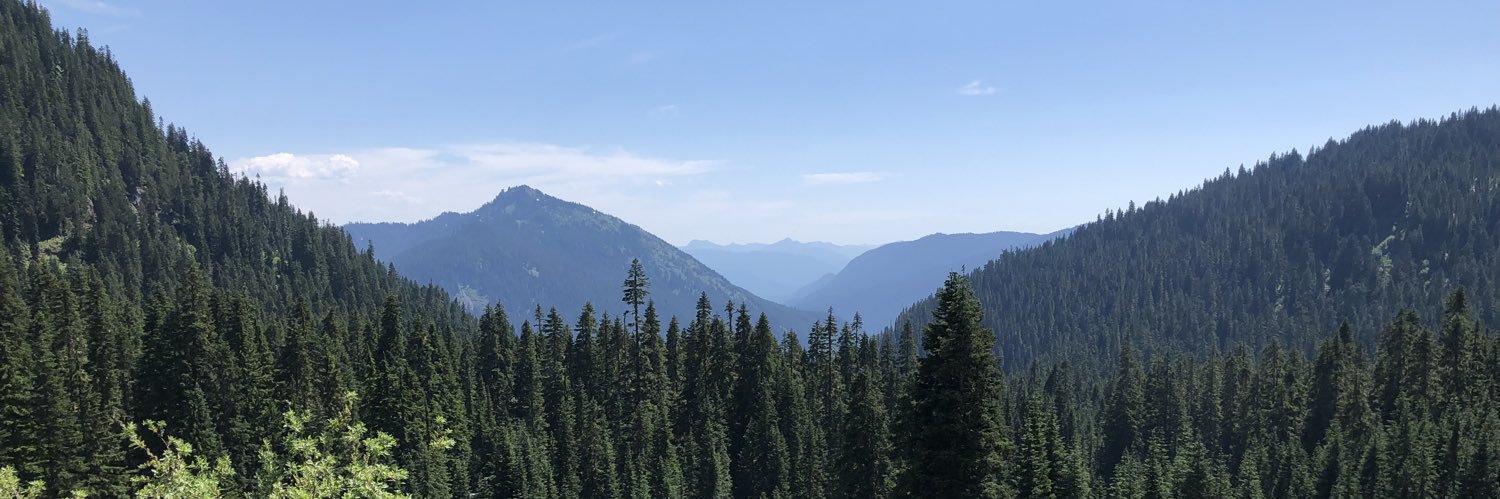 modestmoose's profile banner image