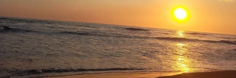 Caramel Macchiato 💜🌸🎃🍁💮 banner