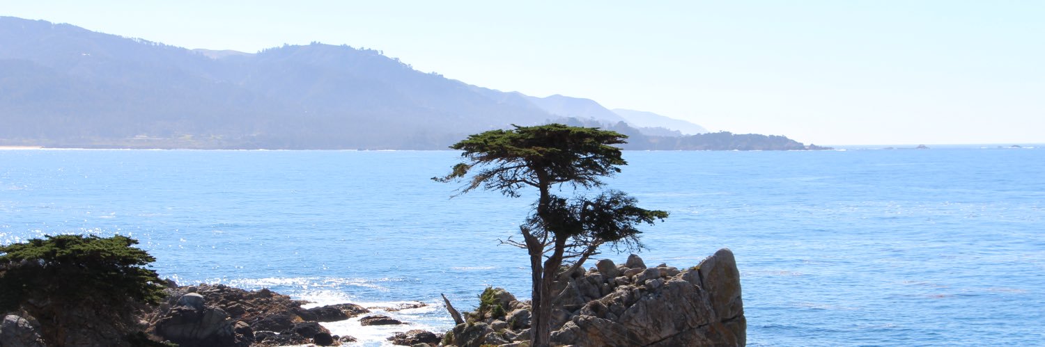 Rene Agcaoili banner