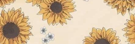 goflyakiteee's profile banner image