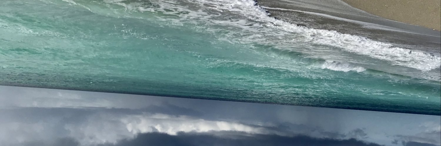 kathy hamann banner