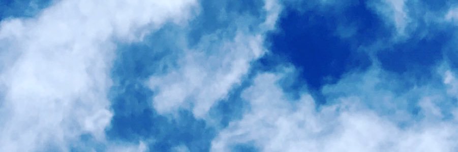 zestyco's profile banner image