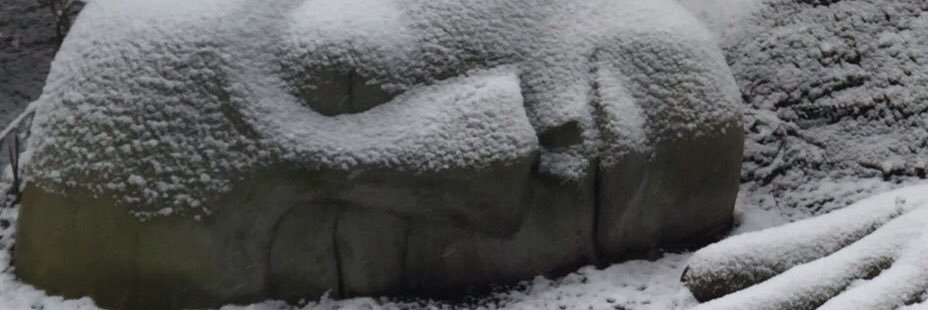 CanXConscience's profile banner image