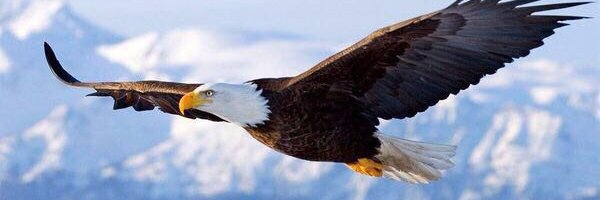 محمد بن صالح بن نصيف banner