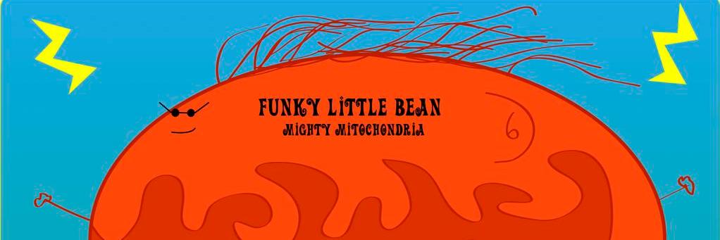funkylittlebean's profile banner image
