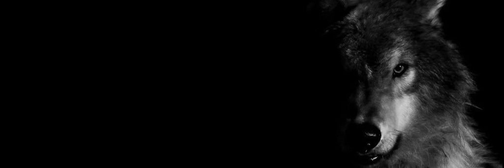 Raul_ag11's profile banner image