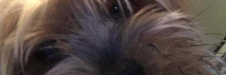 PresidentChico's profile banner image