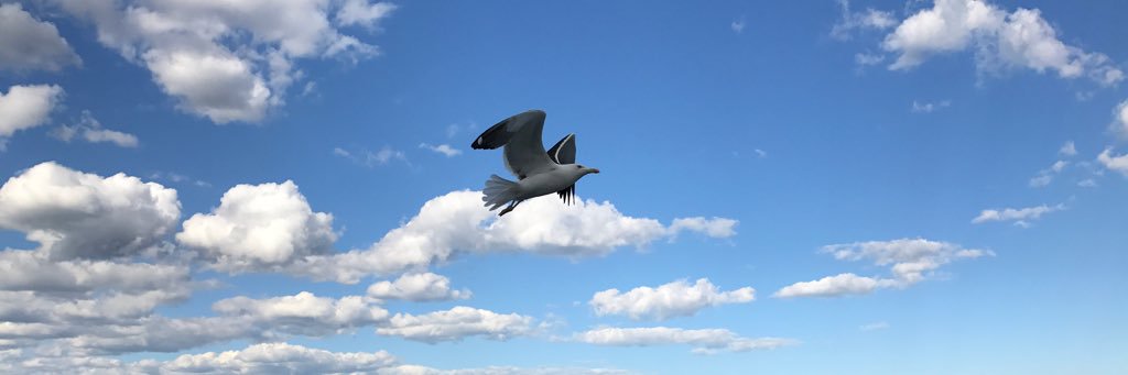 Yamfoot's profile banner image