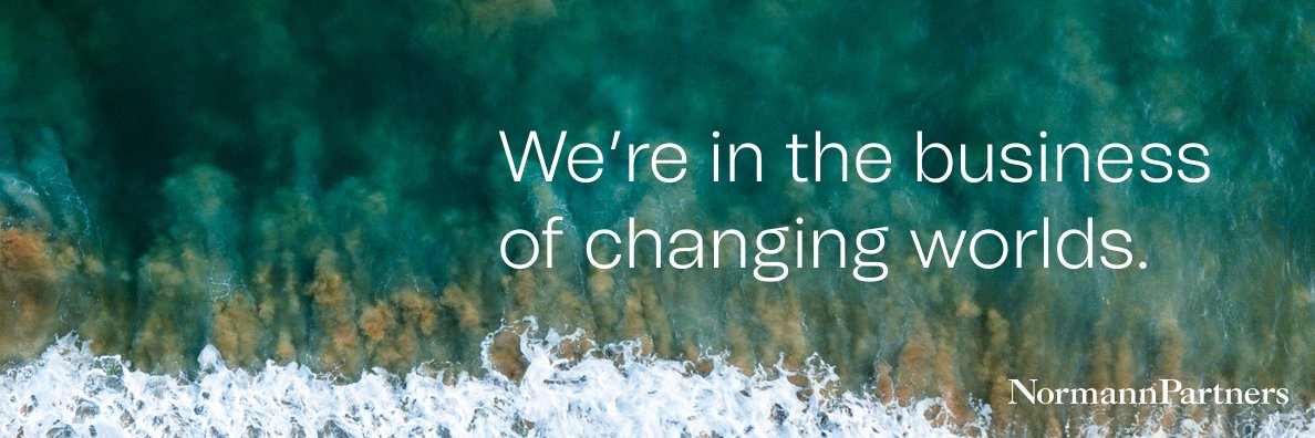 NormannPartners banner