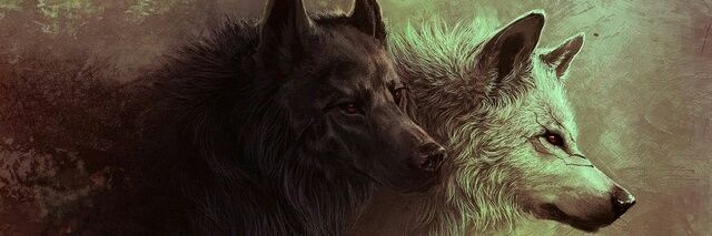 Nico_RodriguezF's profile banner image