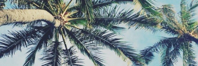 alisannemk's profile banner image