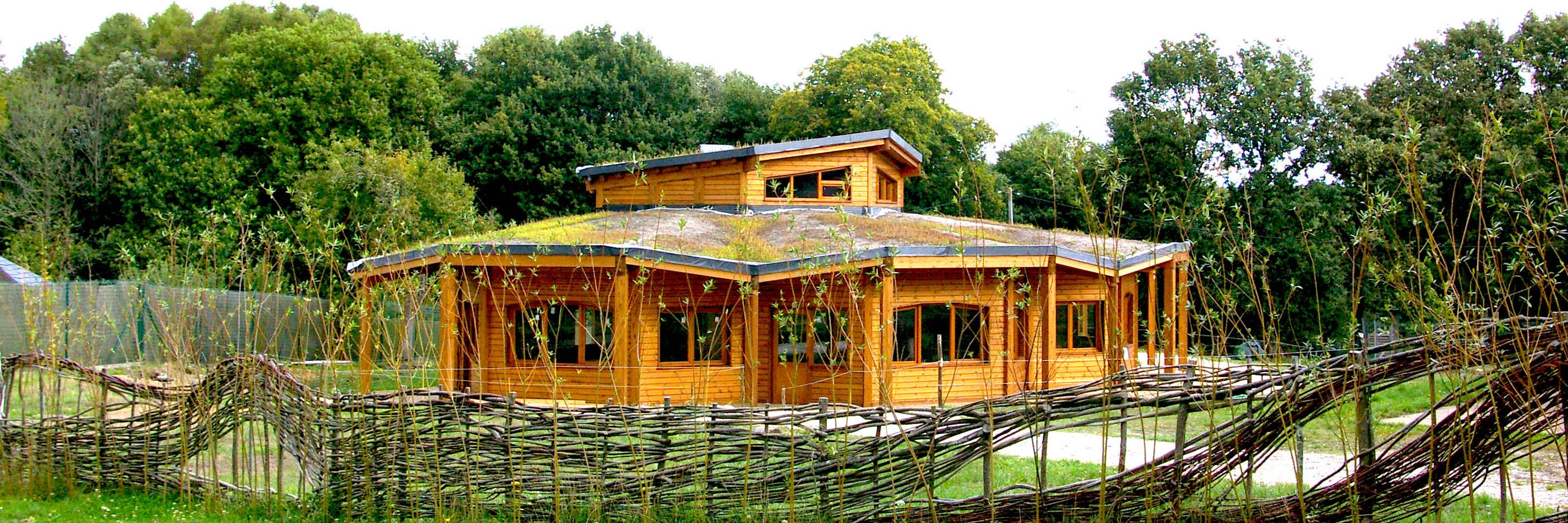 waldorflugo's profile banner image