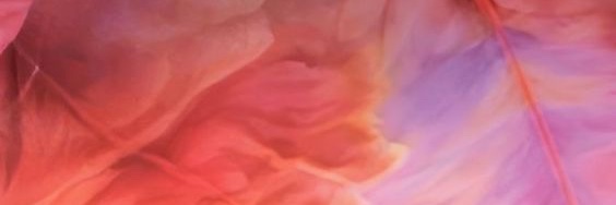 katherinemargs's profile banner image