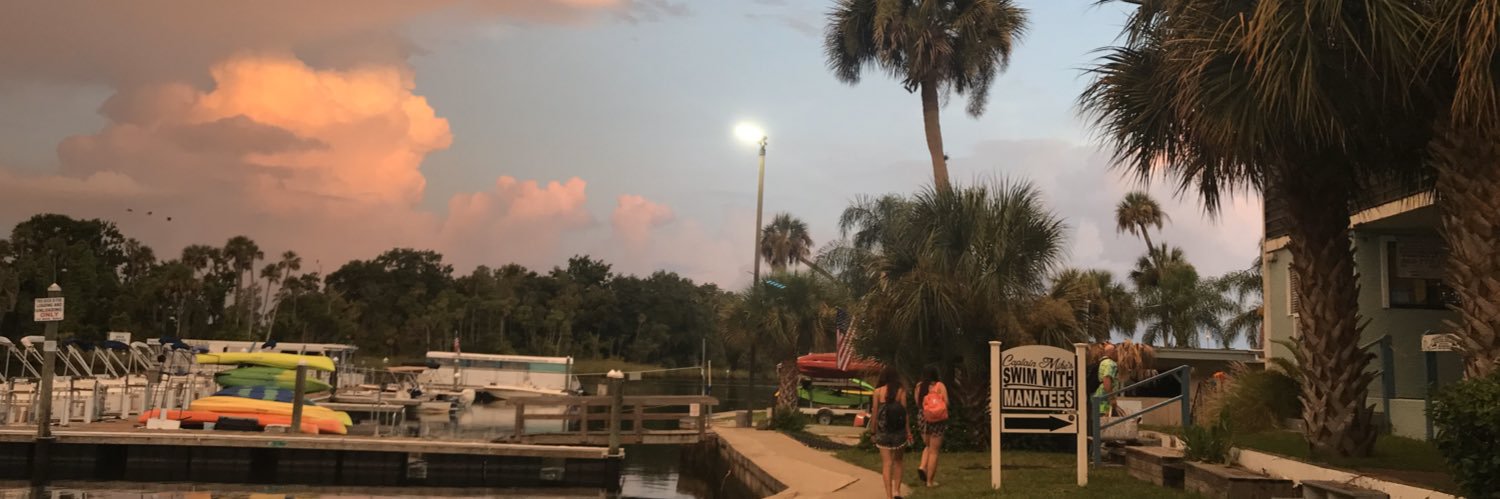 NotaThaigerMom's profile banner image
