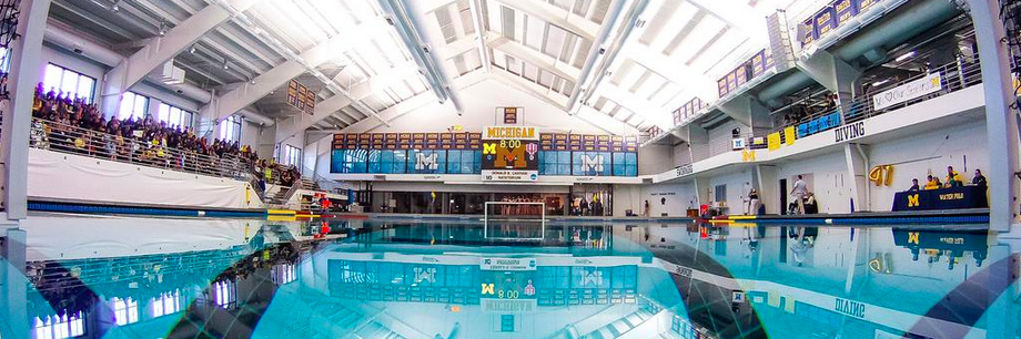 MichiganManPolo's profile banner image