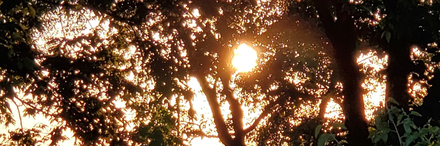 ShanahanRamble's profile banner image