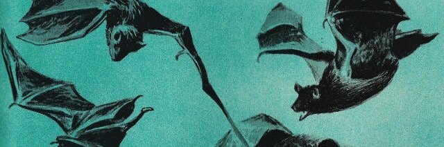 HellAlisson's profile banner image
