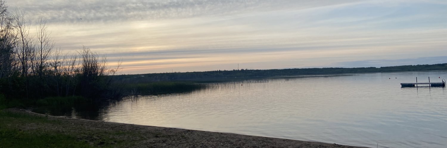 tayvoigt_'s profile banner image