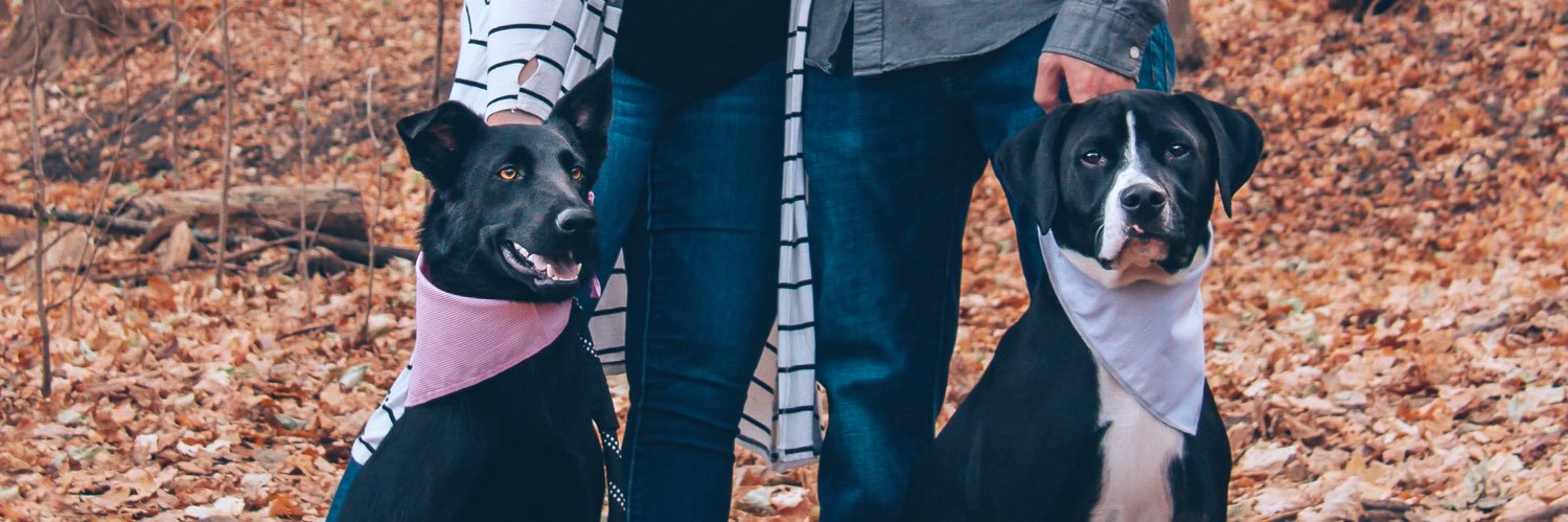 Calli_Hansen's profile banner image