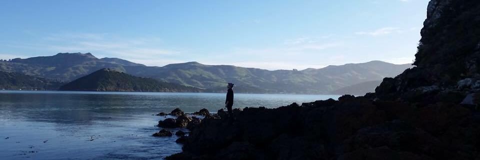 AlexBaird's profile banner image