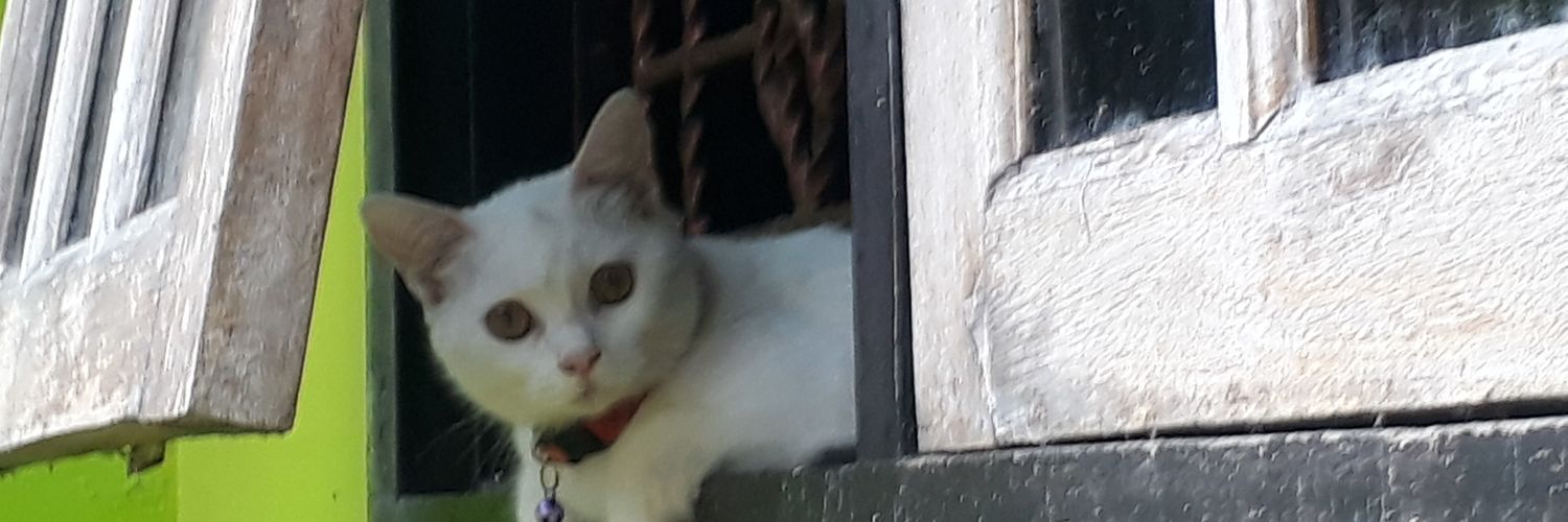 elfridarc's profile banner image