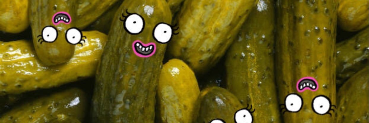 princessapickle's profile banner image