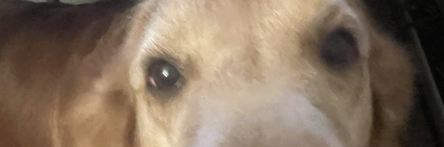 Bairske's profile banner image