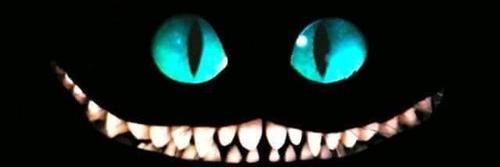 MozaIsyraqi's profile banner image
