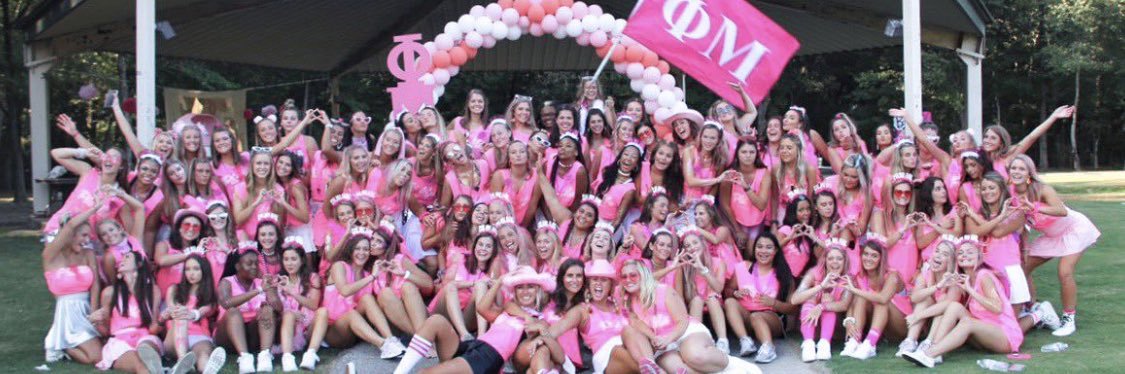 Phi Mu Memphis banner