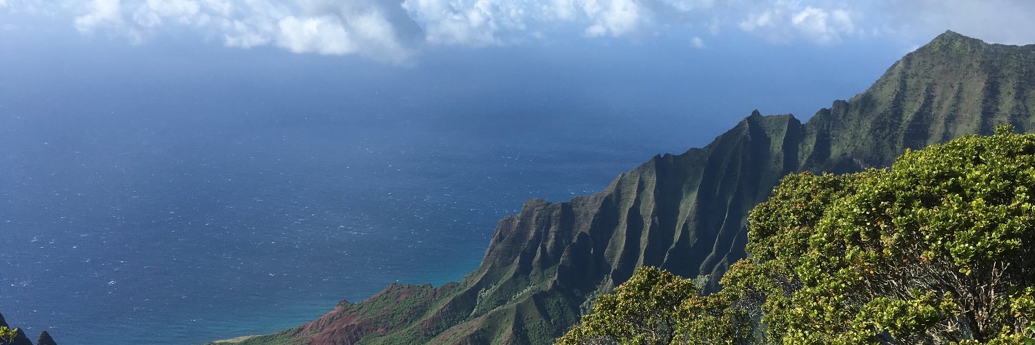 KauaiInsurance's profile banner image