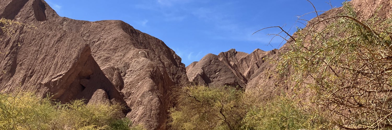 camilavb3's profile banner image