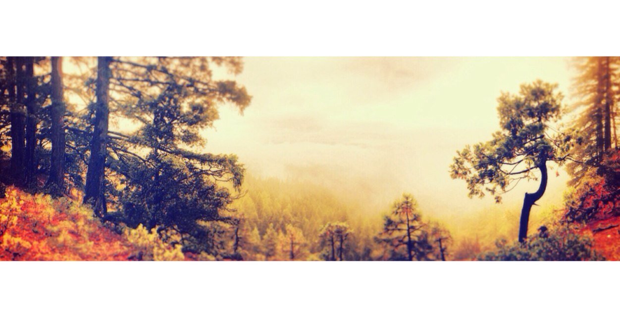 Hozerr's profile banner image