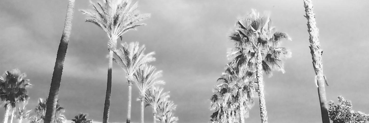 ZayaDaGreat's profile banner image