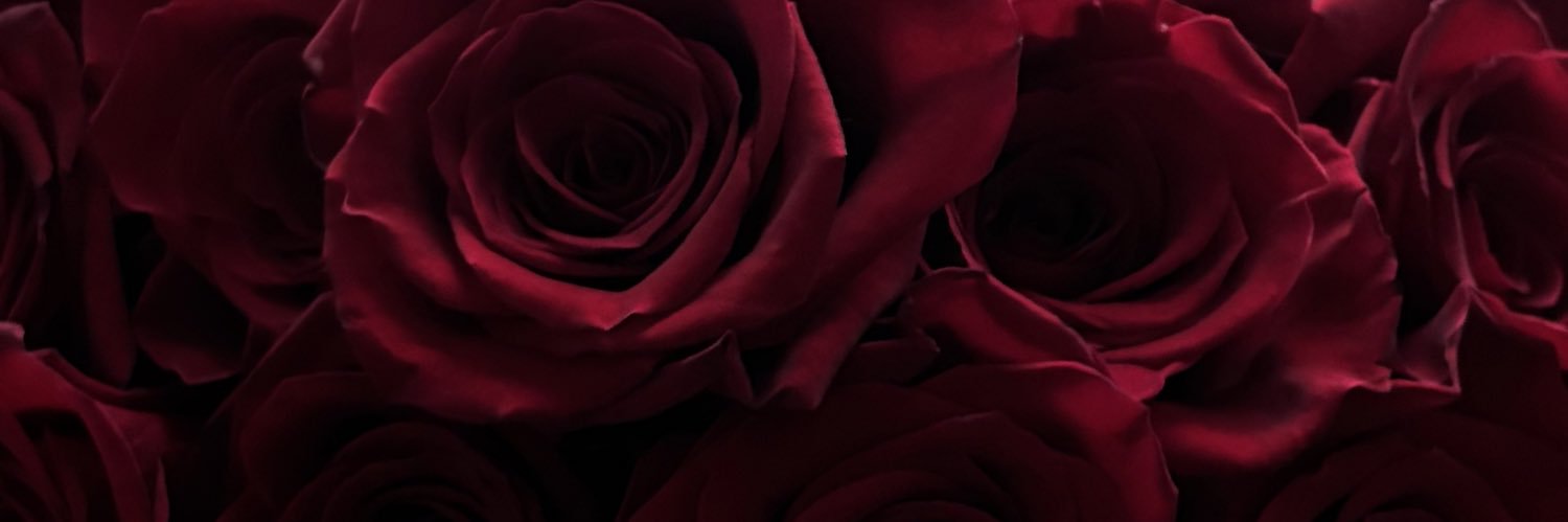 𝓍𝑜 banner